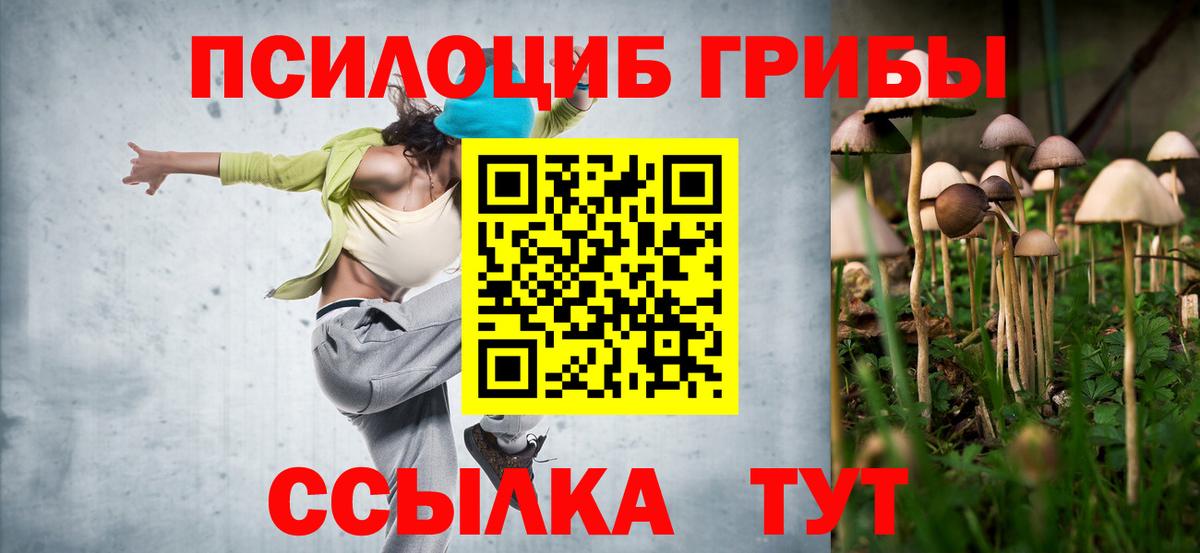 Галлюциногенные грибы мицелий Всеволожск